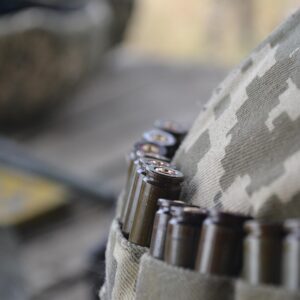 Undgå fejlkøb: Guide til epson blækpatroner og kompatibilitet