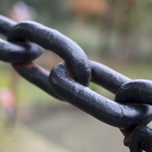 Interne links som seo-værktøj: Sådan prioriterer du dine links rigtigt